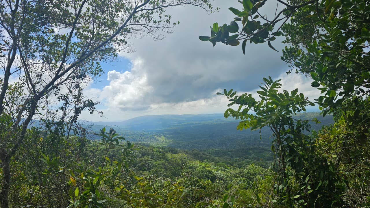 Sendero Reserva Científica Loma Quita Espuela - Sendero Las nubes