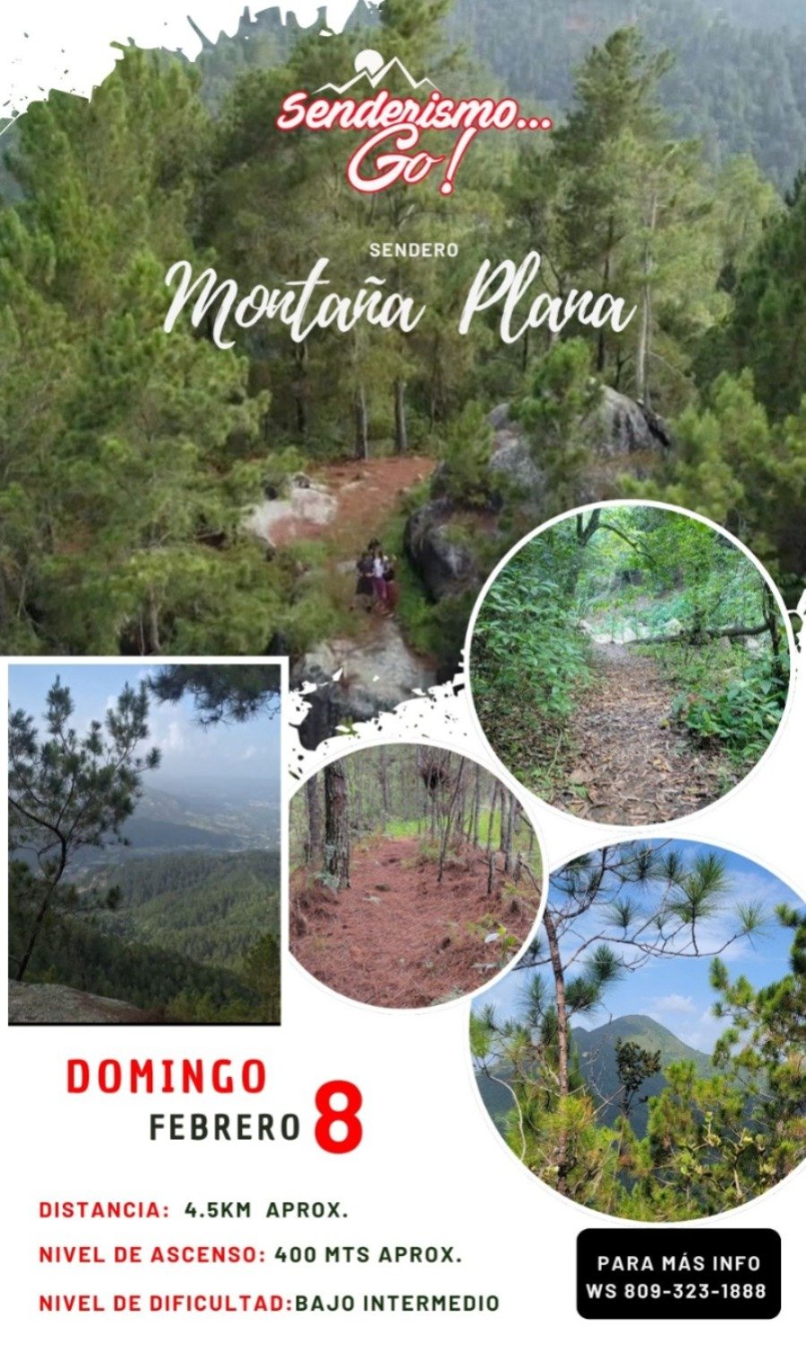 Sendero Montaña Plana
